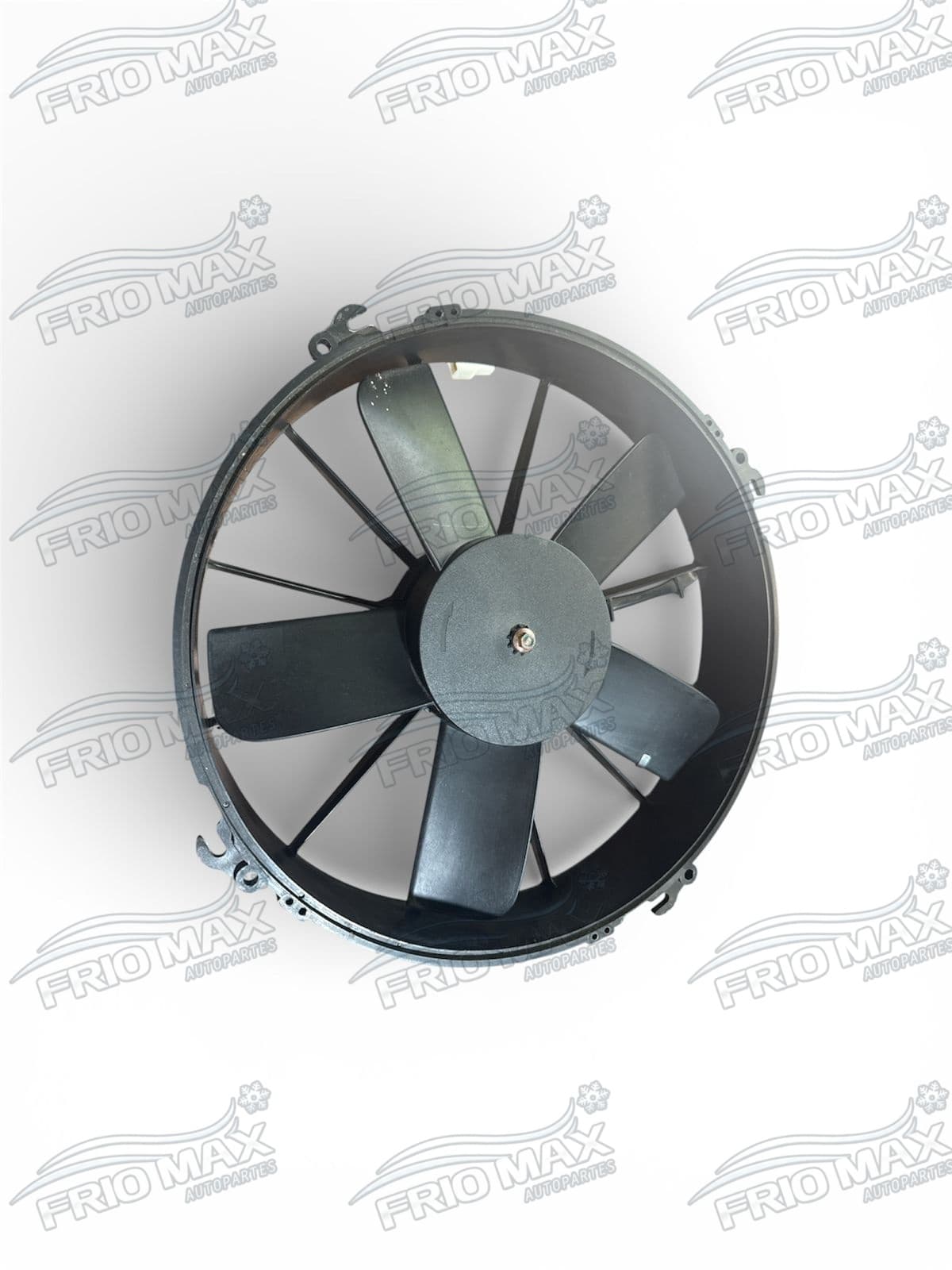 Estractore Item 1