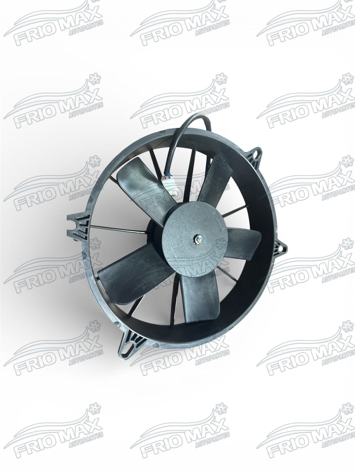 Estractore Item 3
