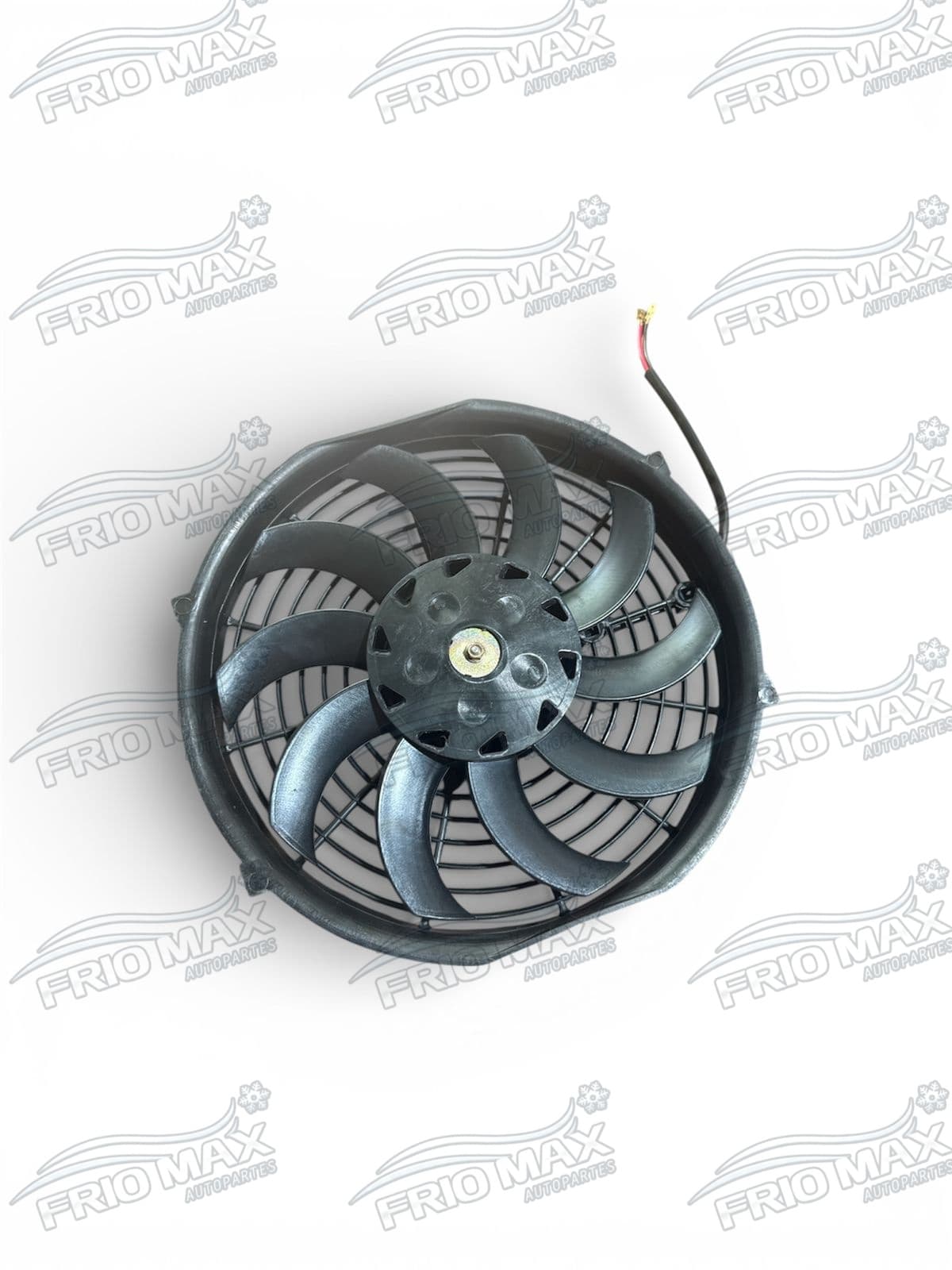 Estractore Item 5