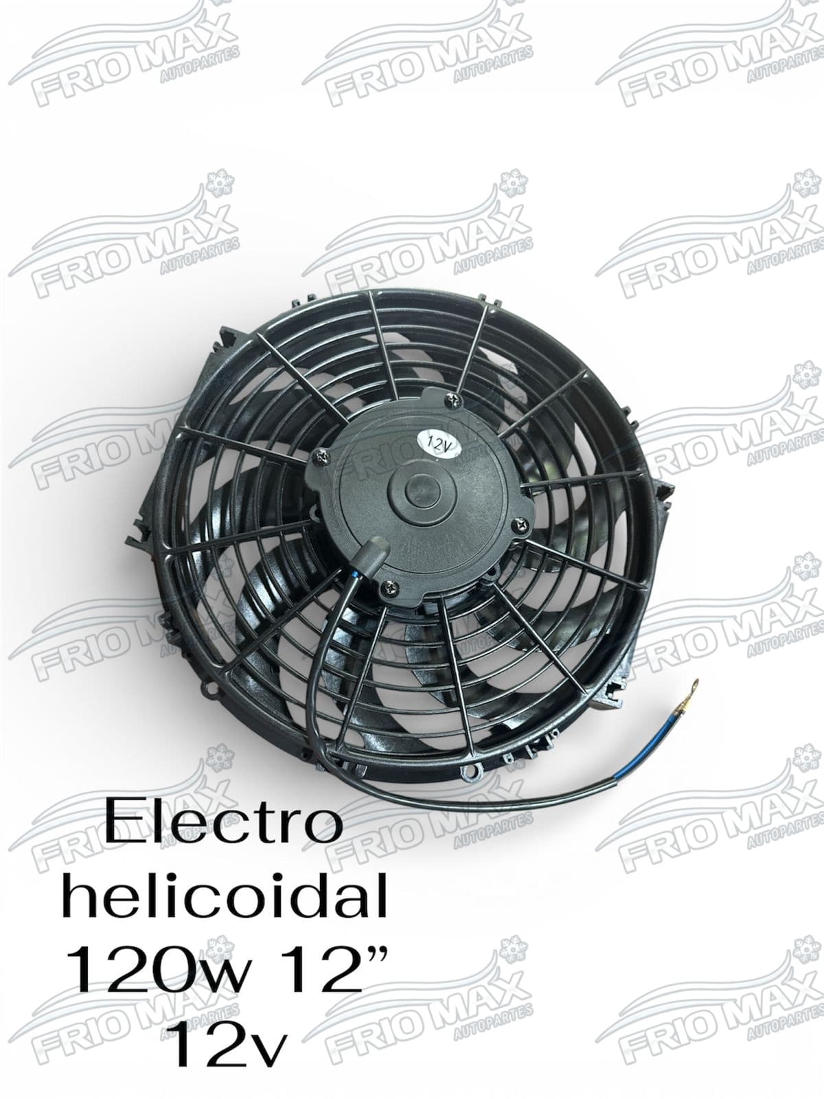 Estractore Item 7
