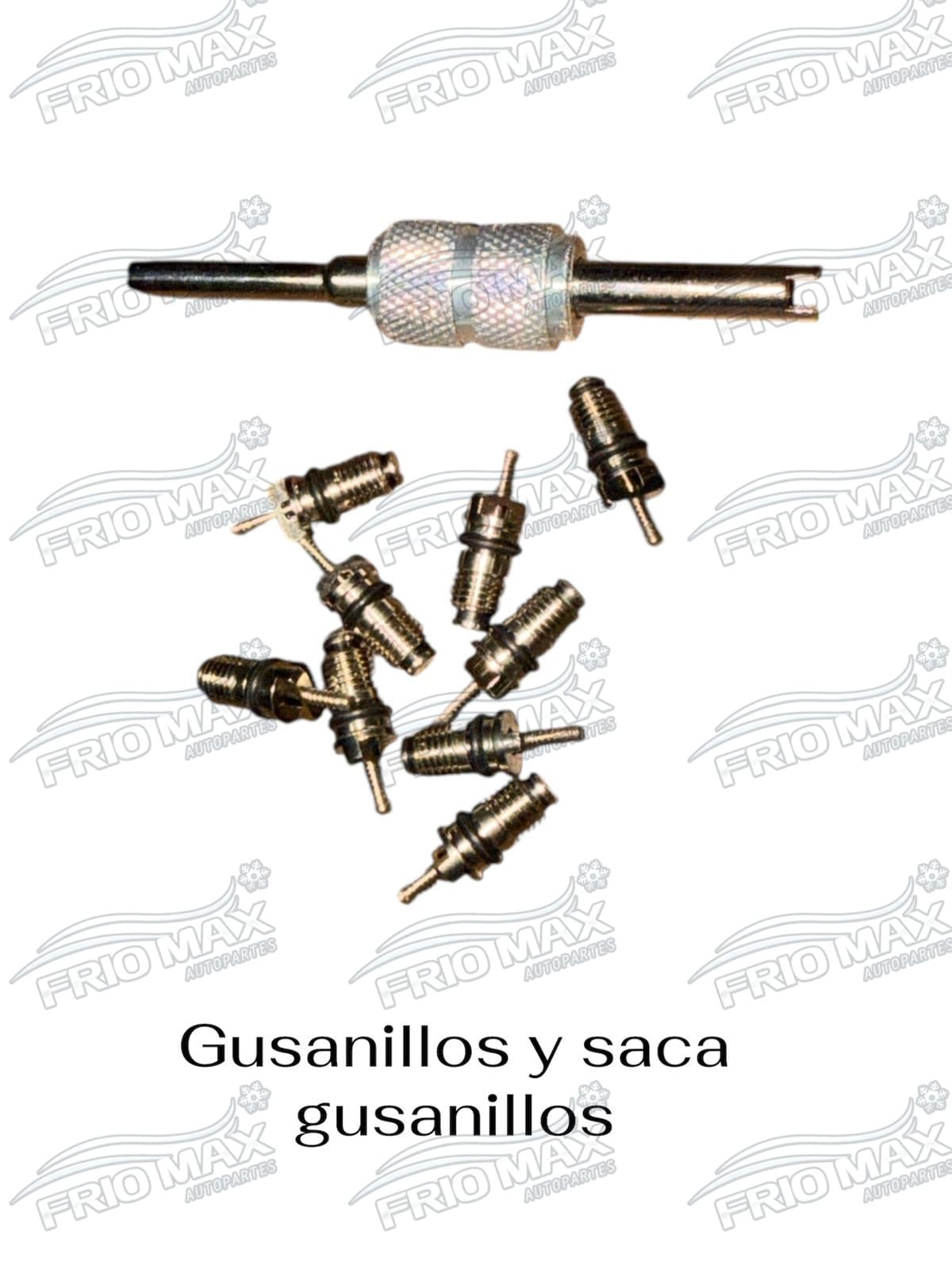 Herramienta Gusanillos Saca Gusanillos